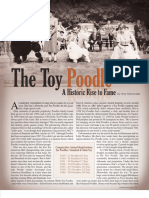 The Toy Poodle - A Historic Rise To Fame