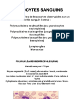 Cellules Sanguines Leucocytes