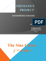 Mathematics Project: Trigonometric Functions