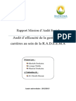 Rapport Mission D - Audit RADEEMA