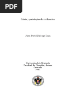 Crisis y Patologías de Civilización