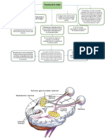 Proceso de La Vision