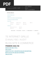 Analyse Audit SiteWeb Blog Ecommerce PDF