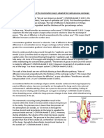 Explain How The Structure of The Mammalian Lung Is Adapted For Rapid Gaseous Exchange