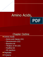 Amino Acid