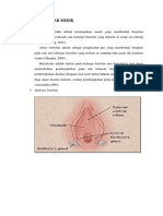 Abses Bartholinitis (Adelia Widora)