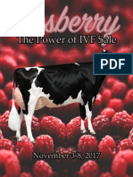 Rasberry The Power of Ivf Sale