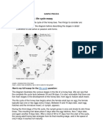 IELTS Writing Task 1: Life Cycle Essay: Sample Process