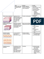 Type of Epithelium Cell