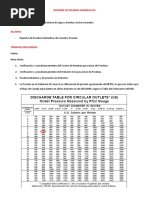 Informe Pruebas PITOT - Revd1