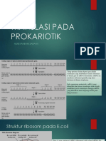 Translasi Pada Prokariotik