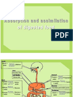 6.5 Absorption and Assimilation of Digested Food