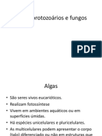 Algas Protozoarios e Fungos