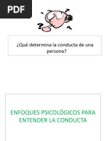 Enfoques Psicologicos