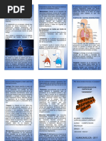 Sistema Respiratorio