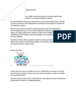 10 Ejercicios de Gimnasia Cerebral para Niños