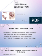 Intestinal Obstruction: A Report by C2