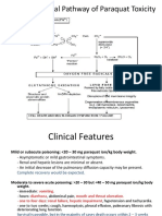 The Biochemical Pathway of Paraquat Toxicity