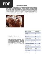 Informe Ponedoras 1