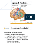 Language and Brain