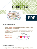 Transporte Celular