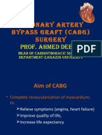 Coronary Artery Bypass Graft Cabgsurgery