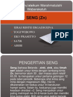 SENG (ZN)