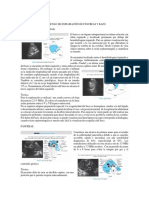 Descripción Del Protocolo de Exploración de Páncreas y Bazo