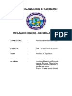 Informe Practica Jepelacio