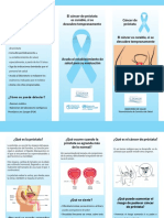 Triptico Cancer de Prostata