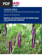 Manual de Produccion de Berenjena Final PDF