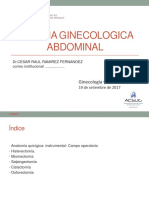 30.cirugia Ginecologica Abdominal