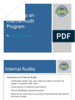 Setting Up An Internal Audit Program