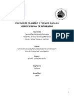 Cultivo de Cilantro y Tecnicas para La Identificación de La Clorofila 1