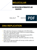 5 Replikasi Dna 1 - Rizky