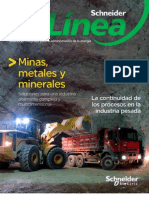 Revista en Linea Enero 2009