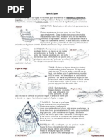 Tipos de Fogata