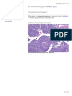 Zanki Renal Pathology 