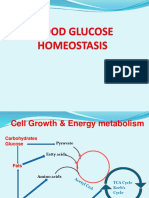 14 - Blood Glucose Homeostasis