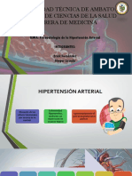 Hipertension Arterial