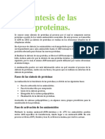 Biologia Sintesis de Las Proteinas