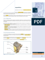 Temas Trauma Fisioterapia