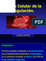 Modelo Celular de La Coagulacionactual