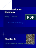 Introduction To Sociology: Henry L. Tischler