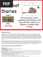 Wombat Diaries