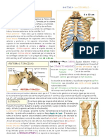 Torax Oseo PDF