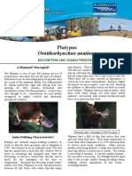 Platypus PDF