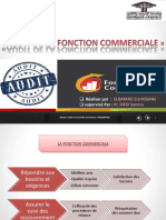 Audit Fonction Commercaile