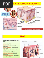 4 Anatomia y Fisiologia de La Piel