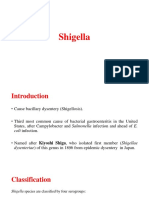 Shigella